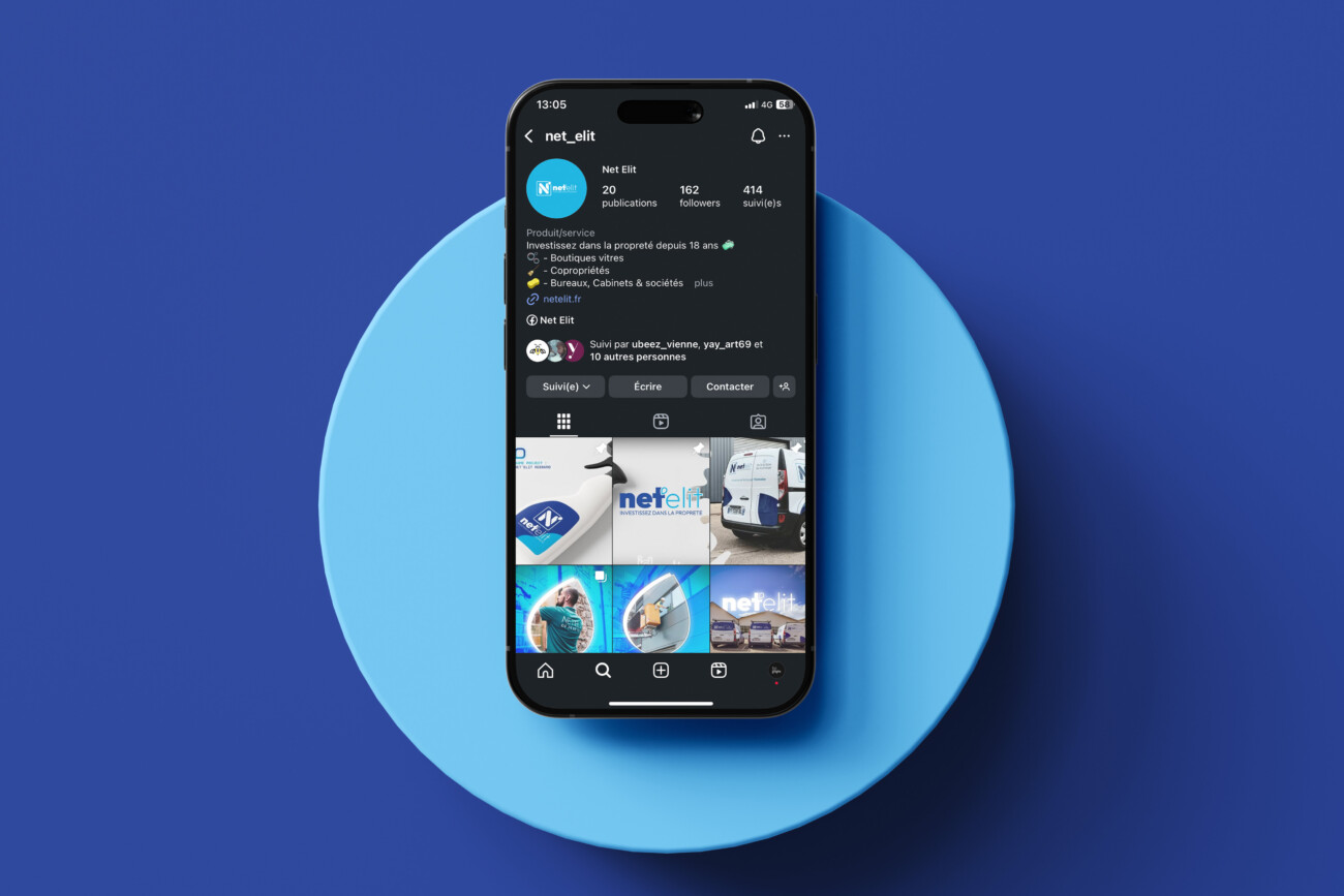 Reseaux_Sociaux_Netelit